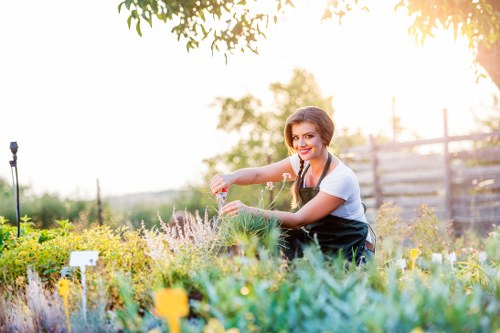 Customer complaint review for gardening work