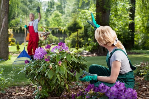 Overgrown garden cleared in Old Malden with waste removed