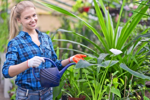 Landscaping in Old Malden with a neatly designed garden