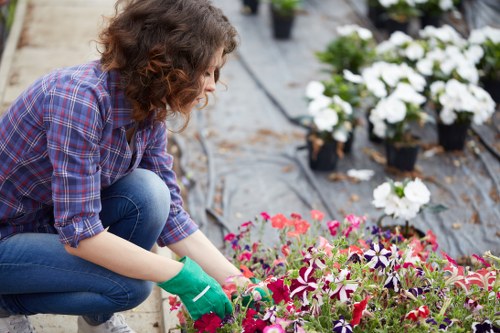 Patio cleaning in Old Malden restoring a weathered garden surface