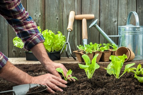 Inclusive garden services information for the Old Malden area