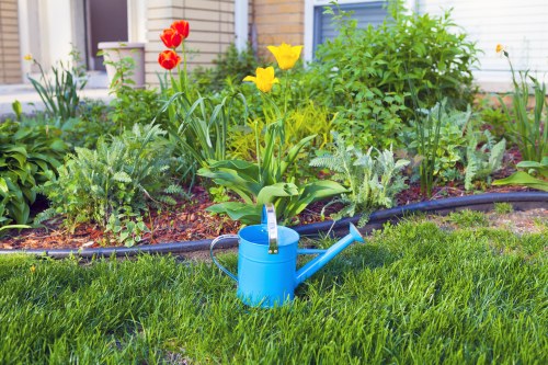 Gardener assessing a safe outdoor work area before starting