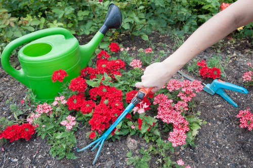 About Us Gardeners Old Malden team caring for a local garden