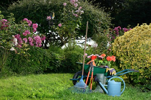 Professional lawn and shrub maintenance for an Old Malden home garden