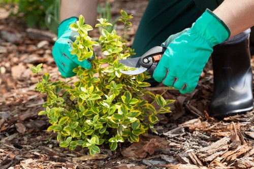 Professional gardening team following a health and safety policy