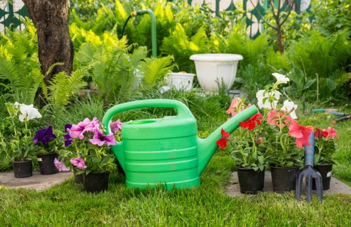Garden clearance and tidy-up services for properties in Old Malden