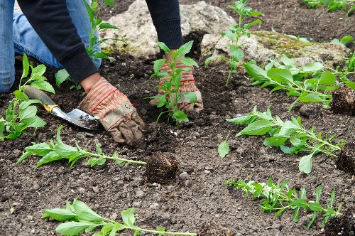 Old Malden gardeners reviewing safety and training procedures