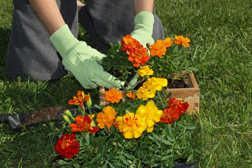 Online payment protection with SSL encryption for garden services