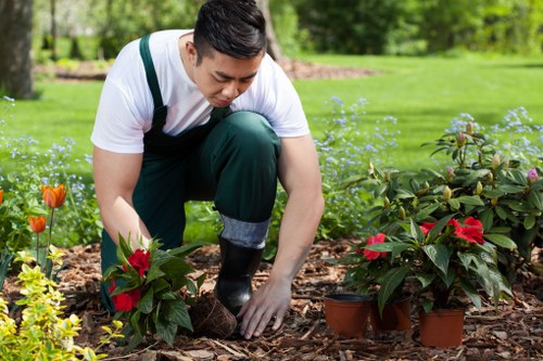 Local garden care in Old Malden creating a neat and thriving outdoor space