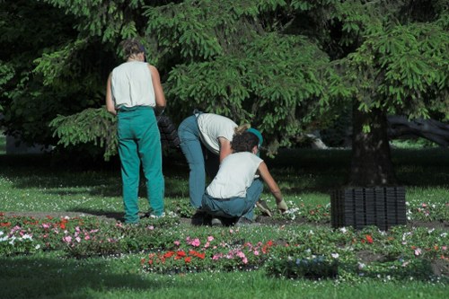 Professional garden clearance removing branches and debris