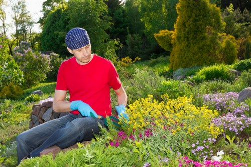 Healthy lawn care in Old Malden with regular mowing and edging
