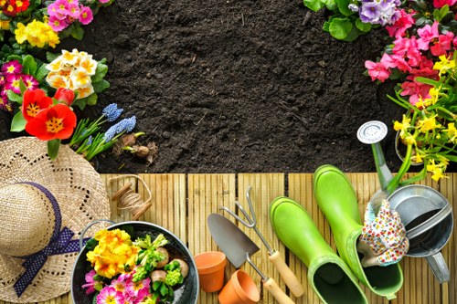 Garden waste and overgrowth cleared from a suburban property