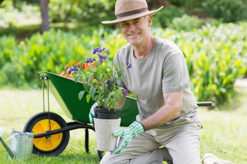 Tree removal and stump grinding service in Old Malden