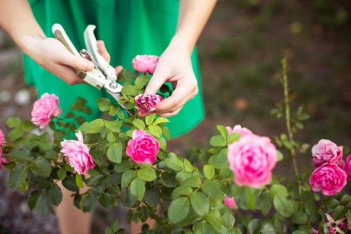Final step in a gardeners complaints procedure