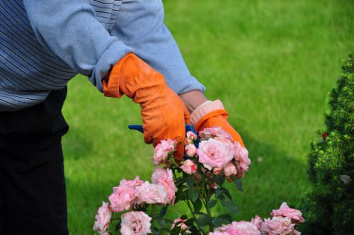 Well-shaped garden hedge maintenance in Old Malden