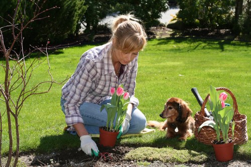 Fair resolution process for garden maintenance complaints