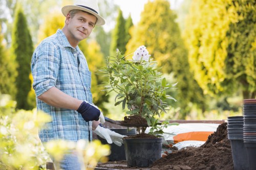 Local Old Malden lawn mowing service keeping grass trimmed