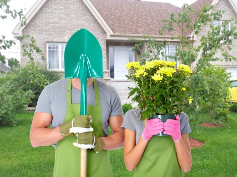 Old Malden gardening care for healthy lawns and borders