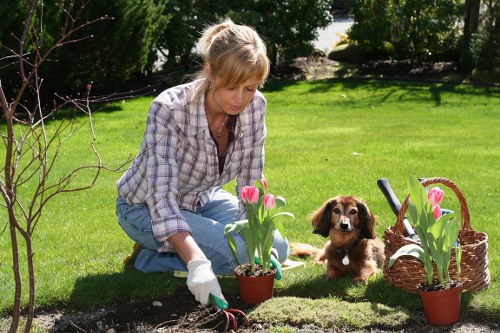 Professional grass cutting in Old Malden during seasonal maintenance