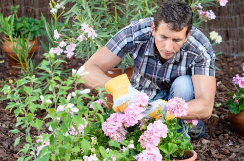 Back garden landscaping with seating and shrubs in Old Malden