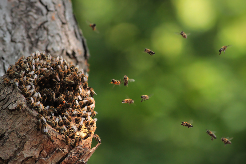 Property outdoor space