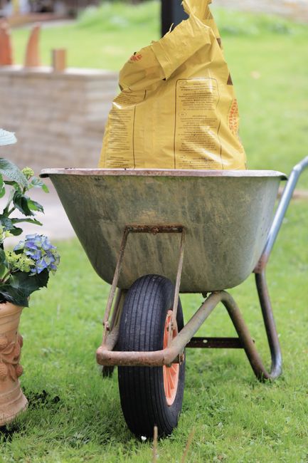 A weathered metal wheelbarrow with a single black rubber tyre and orange rim, positioned on a well-maintained grass lawn. Inside the wheelbarrow, a large yellow bag of garden waste material is loosely